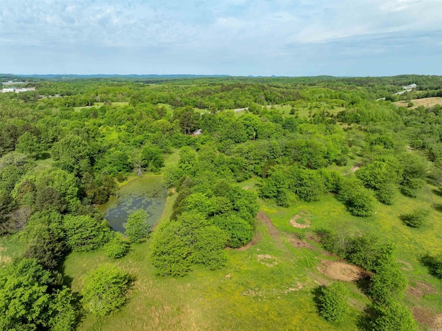 3009 N Main St, Mount Pleasant, AR 72651 - bird's eye view featuring a forest view
