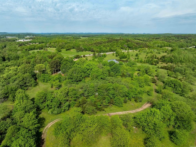 3009 N Main St, Mount Pleasant, AR 72651 - drone / aerial view featuring a view of trees