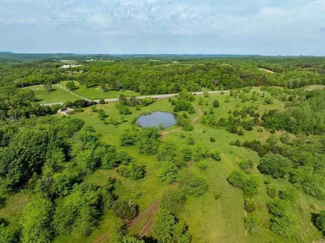 3009 N Main St, Mount Pleasant, AR 72651 - aerial view with a wooded view