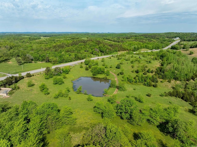 3009 N Main St, Mount Pleasant, AR 72651 - bird's eye view featuring a water view and a view of trees