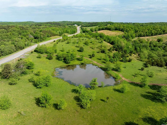3009 N Main St, Mount Pleasant, AR 72651 - bird's eye view with a water view and a forest view