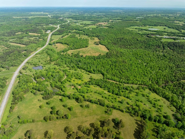 3009 N Main St, Mount Pleasant, AR 72651 - bird's eye view with a forest view