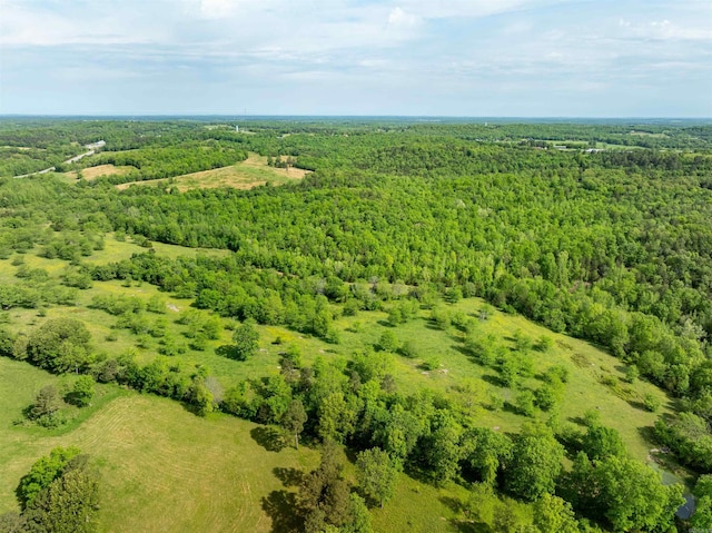 3009 N Main St, Mount Pleasant, AR 72651 - drone / aerial view featuring a wooded view