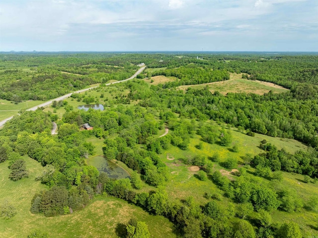 3009 N Main St, Mount Pleasant, AR 72651 - birds eye view of property with a forest view and a water view