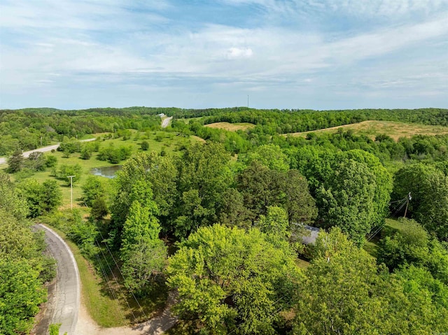 3009 N Main St, Mount Pleasant, AR 72651 - bird's eye view with a forest view