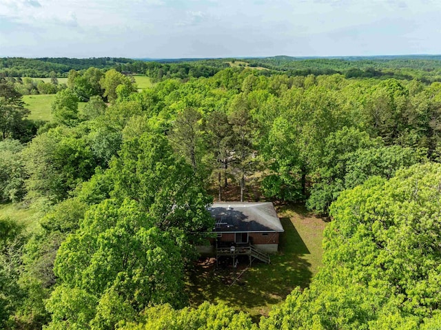 3009 N Main St, Mount Pleasant, AR 72651 - aerial view with a view of trees