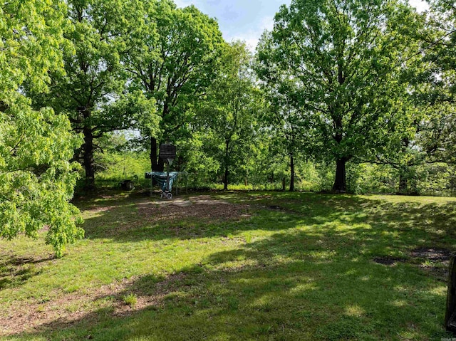 3009 N Main St, Mount Pleasant, AR 72651 - view of yard
