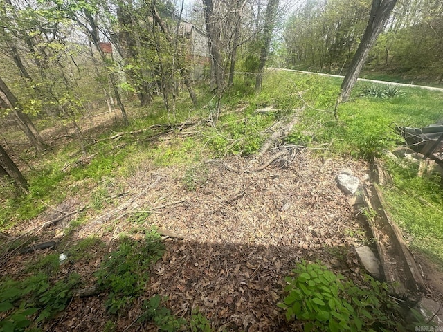 view of nature