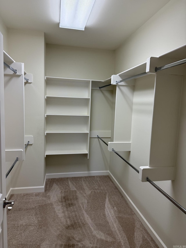 spacious closet with carpet floors