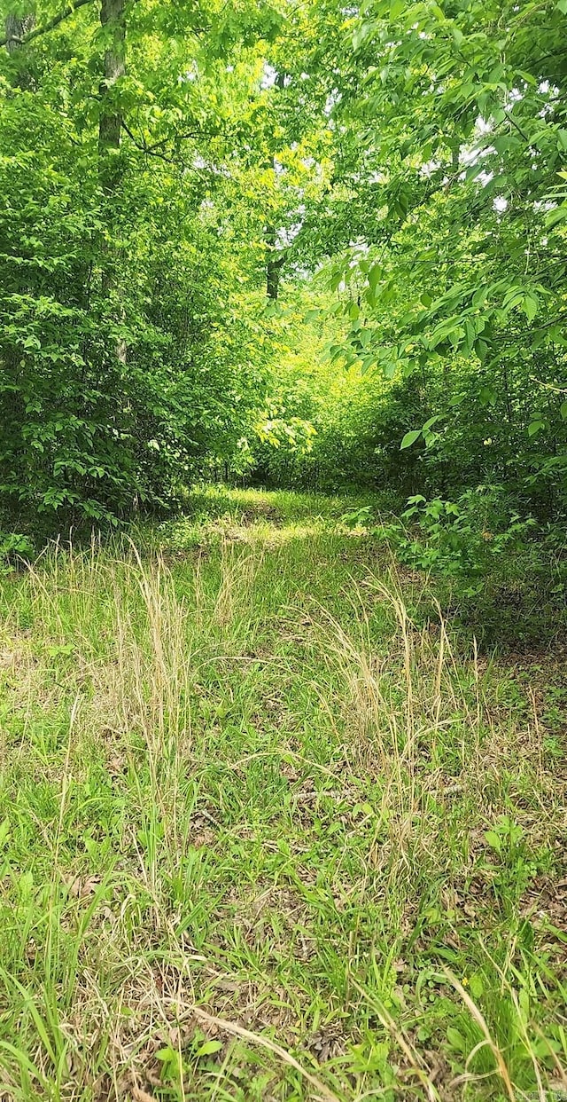 TRACT1 Kulp Rd, Boles, AR 72926