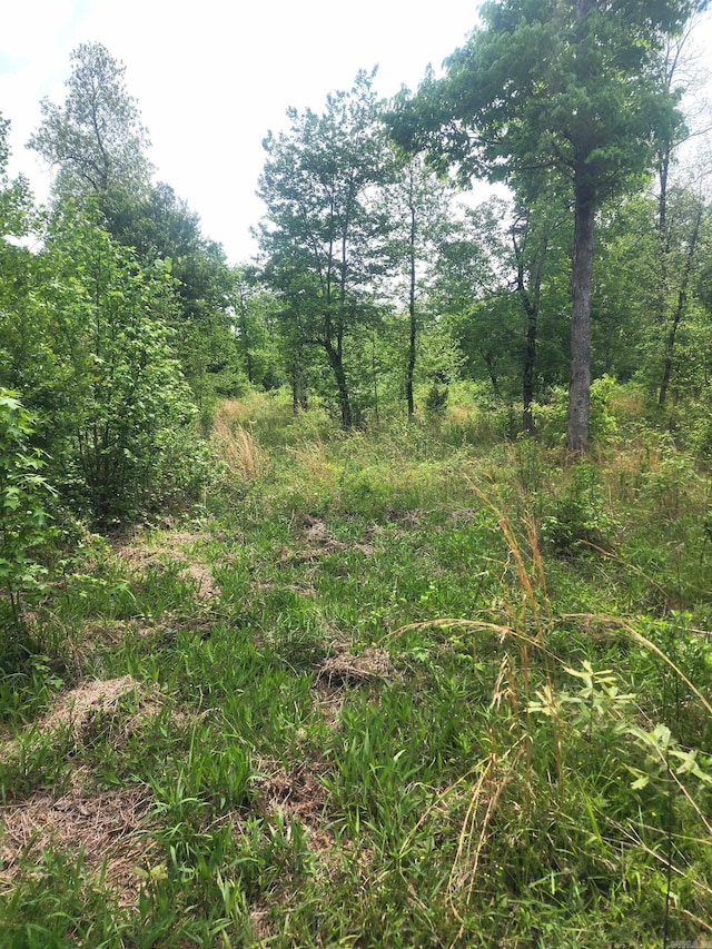 TRACT1 Kulp Rd, Boles, AR 72926