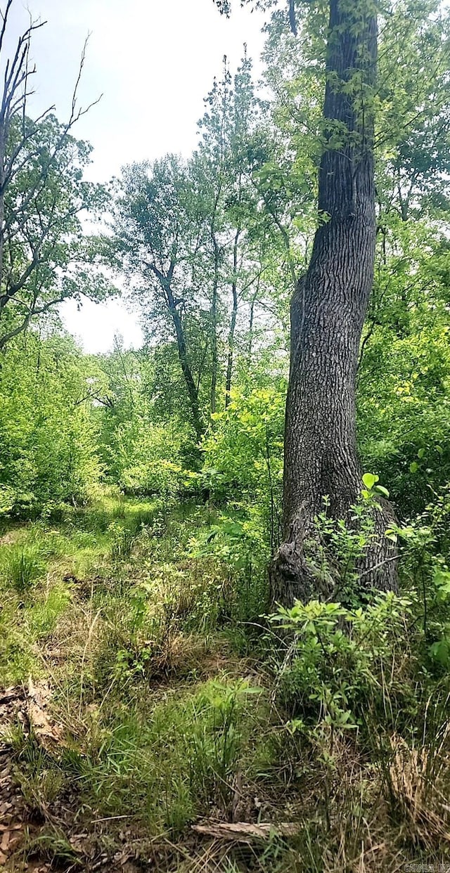 TRACT1 Kulp Rd, Boles, AR 72926