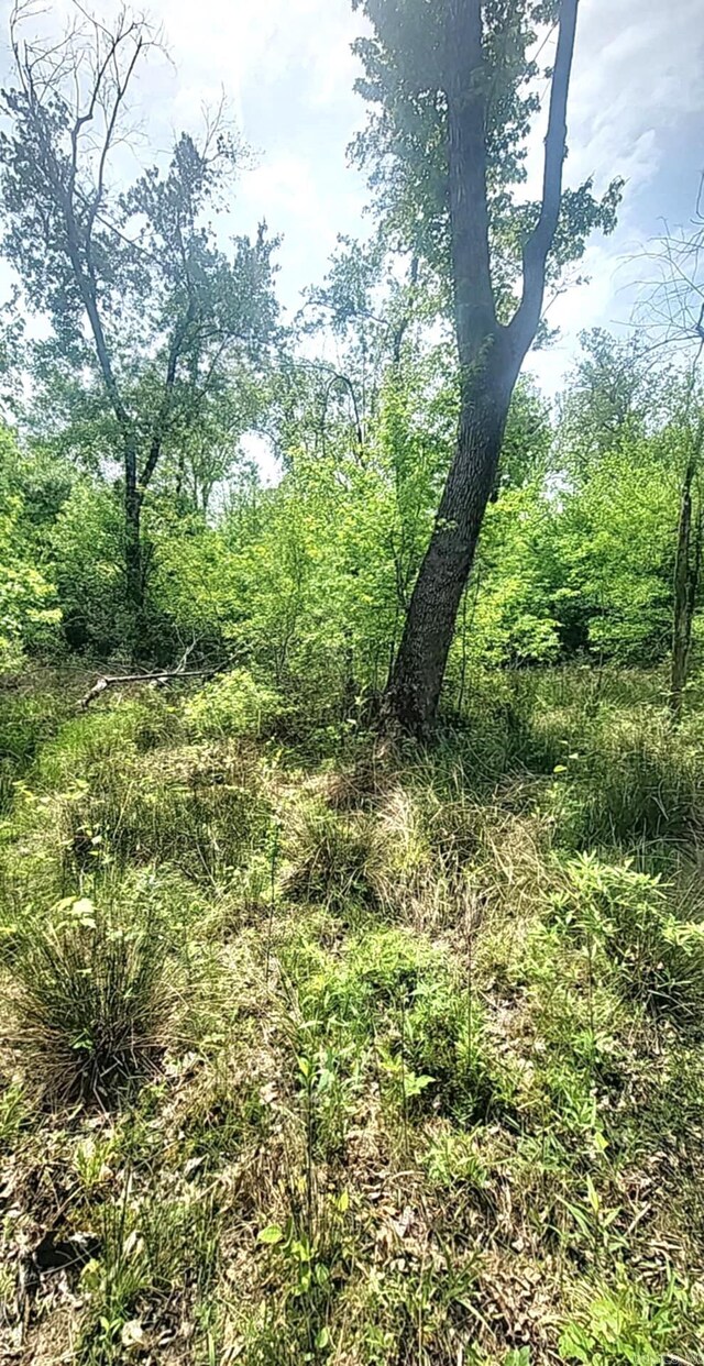 TRACT1 Kulp Rd, Boles, AR 72926