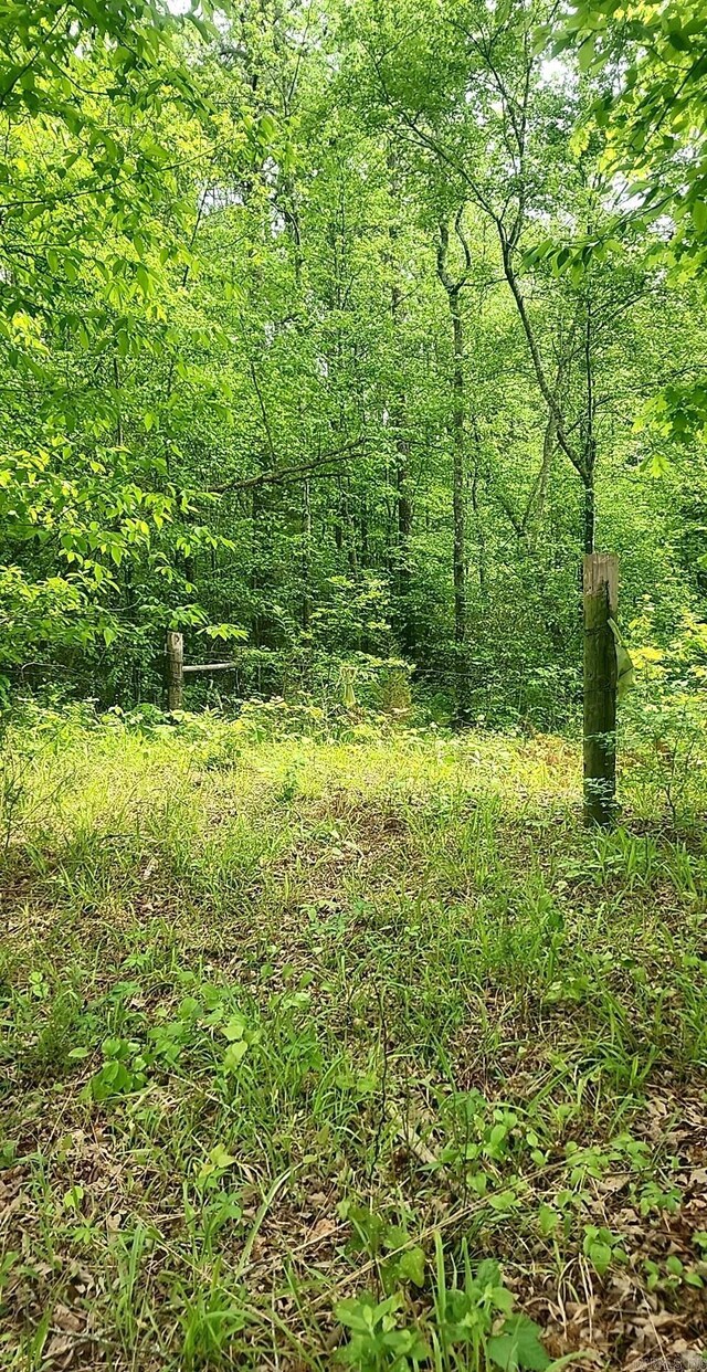 TRACT1 Kulp Rd, Boles, AR 72926