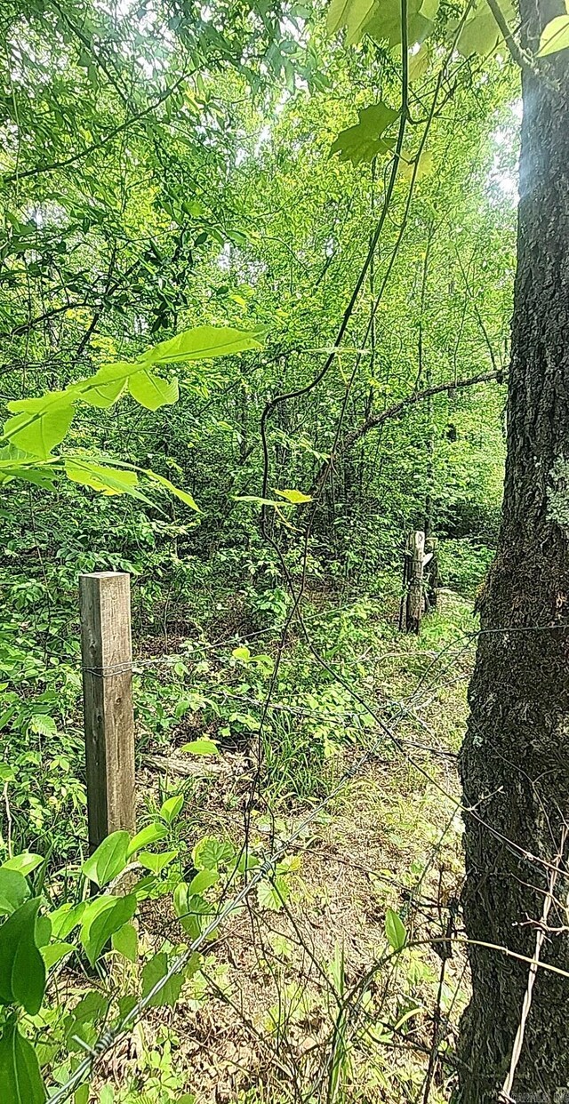 TRACT1 Kulp Rd, Boles, AR 72926