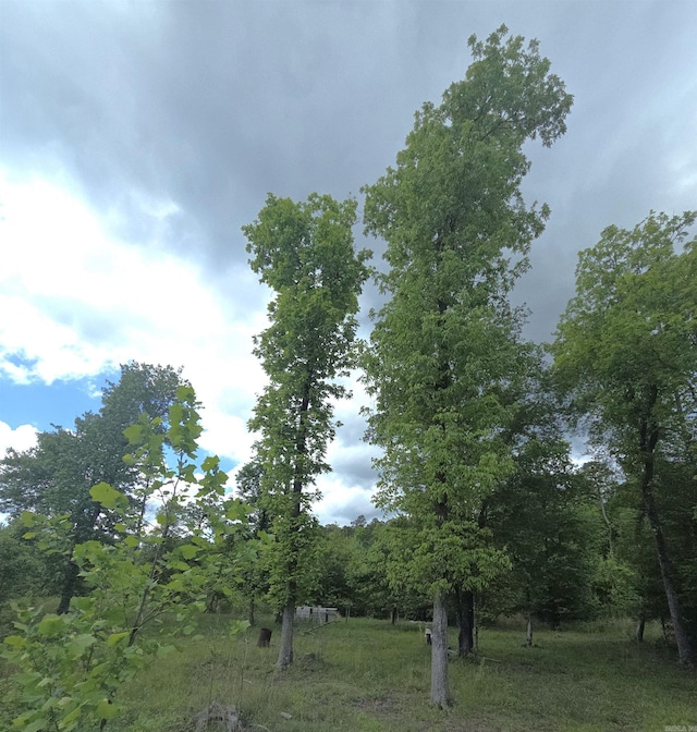 TRACT1 Kulp Rd, Boles, AR 72926