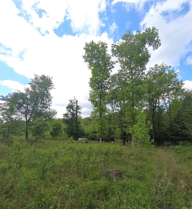 TRACT1 Kulp Rd, Boles, AR 72926