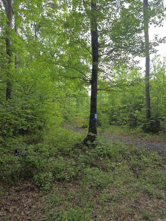 TRACT1 Kulp Rd, Boles, AR 72926