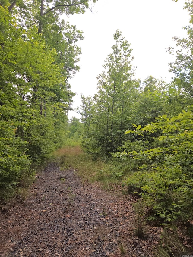 TRACT1 Kulp Rd, Boles, AR 72926