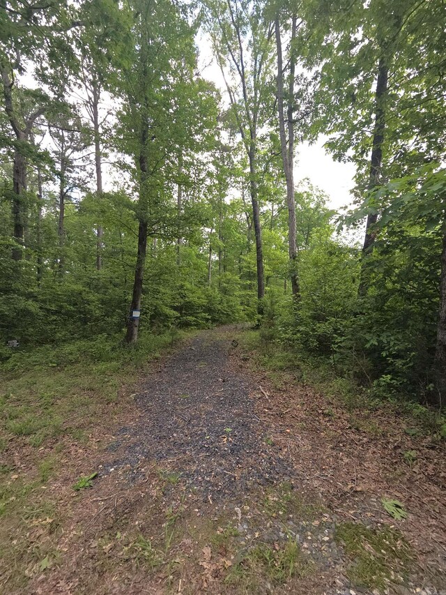 TRACT1 Kulp Rd, Boles, AR 72926