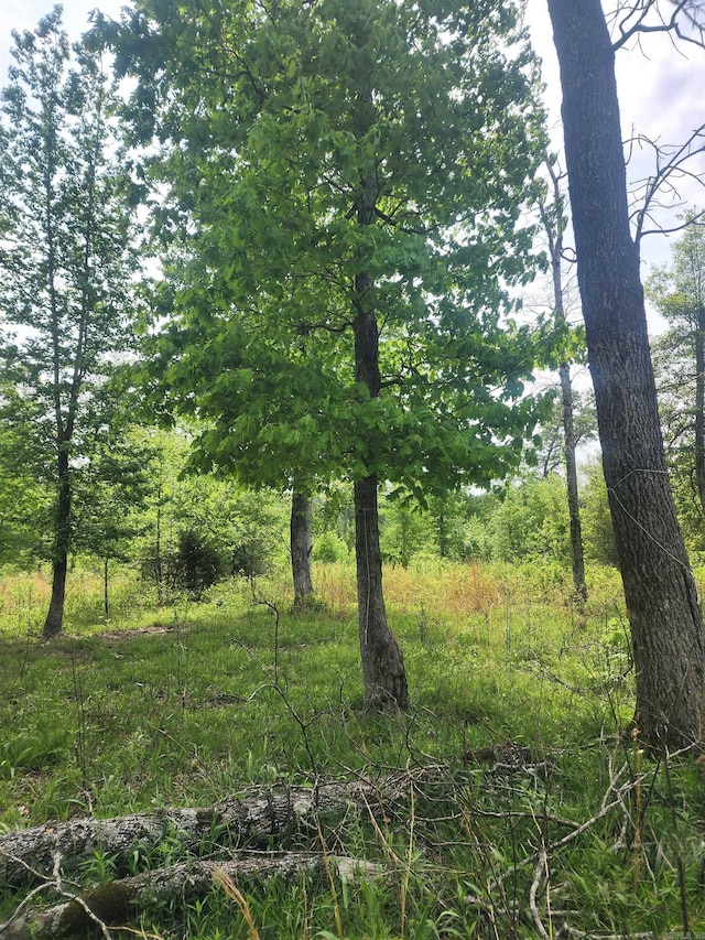 TRACT1 Kulp Rd, Boles, AR 72926