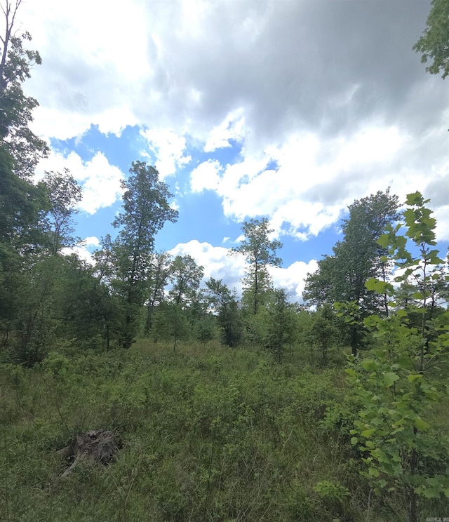 TRACT1 Kulp Rd, Boles, AR 72926