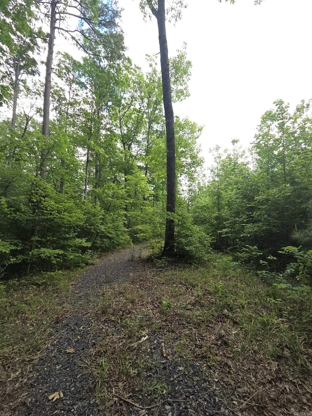 TRACT1 Kulp Rd, Boles, AR 72926