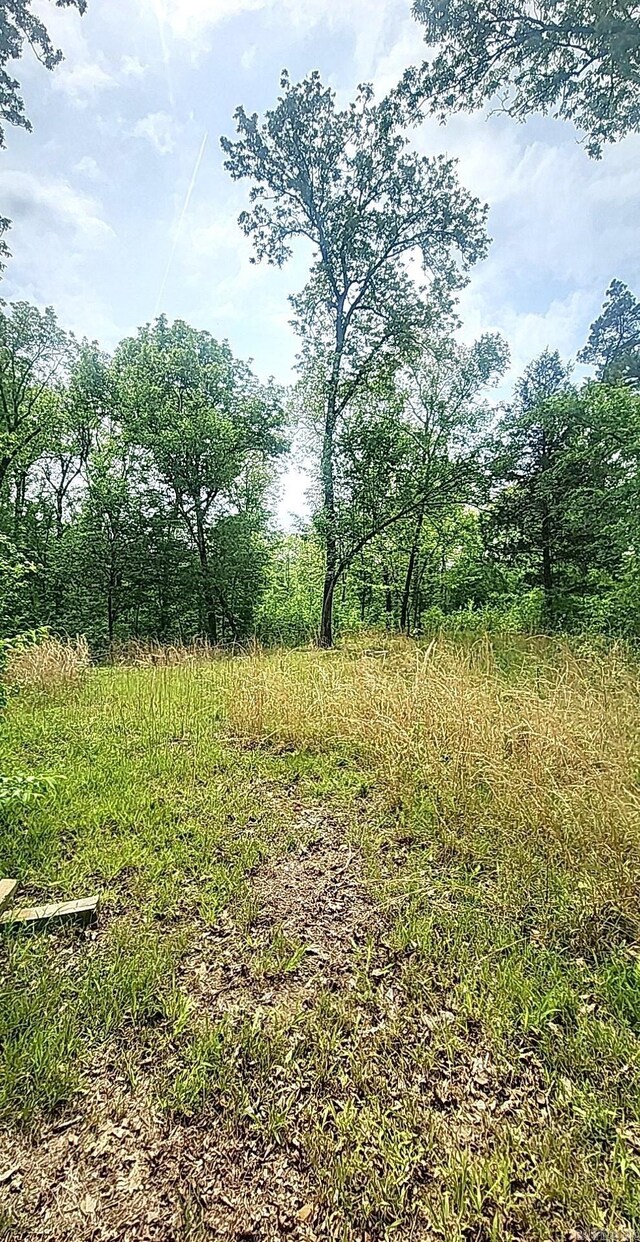 TRACT1 Kulp Rd, Boles, AR 72926