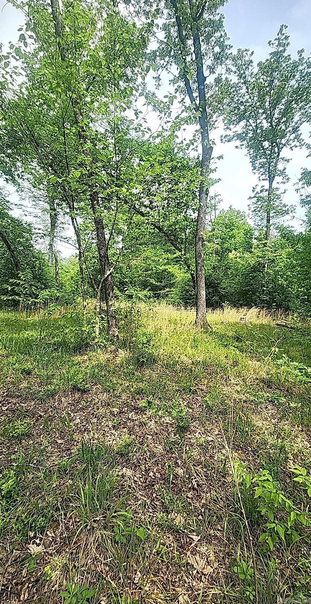 TRACT1 Kulp Rd, Boles, AR 72926