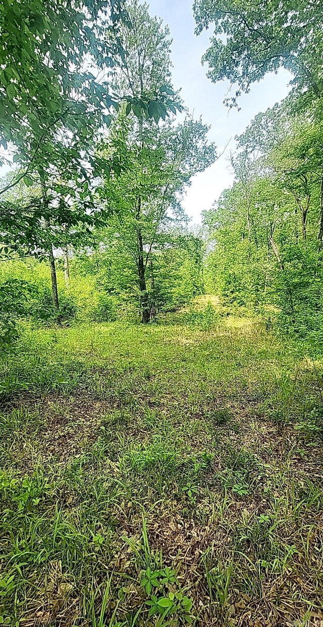 TRACT1 Kulp Rd, Boles, AR 72926