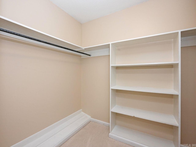 walk in closet featuring carpet floors
