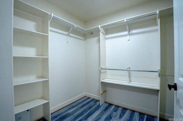 spacious closet featuring wood finished floors