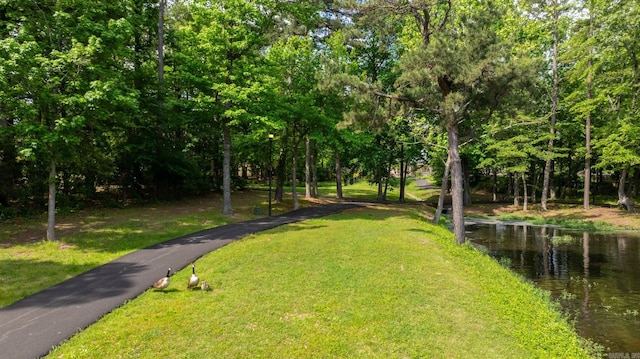 view of community featuring a water view and a yard