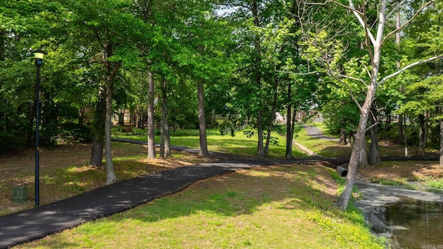view of home's community featuring a yard