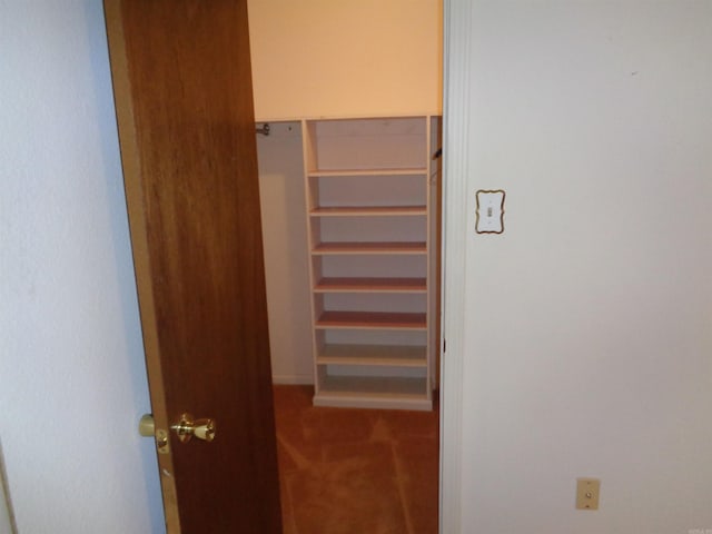 spacious closet featuring carpet flooring