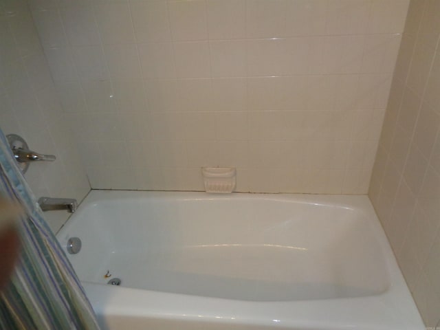 bathroom with a bathtub