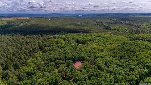 68 Tanner Dr, Bigelow, AR 72016 - drone / aerial view with a wooded view