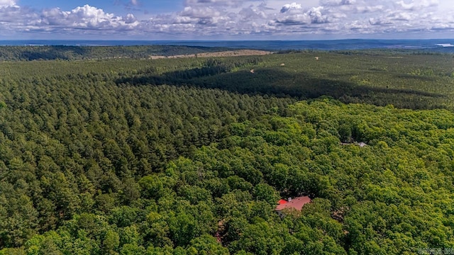 68 Tanner Dr, Bigelow, AR 72016 - drone / aerial view featuring a view of trees