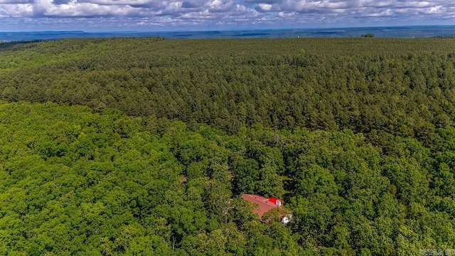 68 Tanner Dr, Bigelow, AR 72016 - birds eye view of property featuring a view of trees