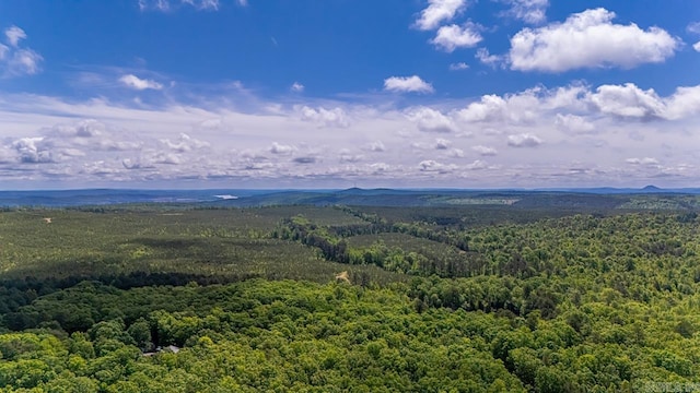 68 Tanner Dr, Bigelow, AR 72016 - birds eye view of property featuring a view of trees