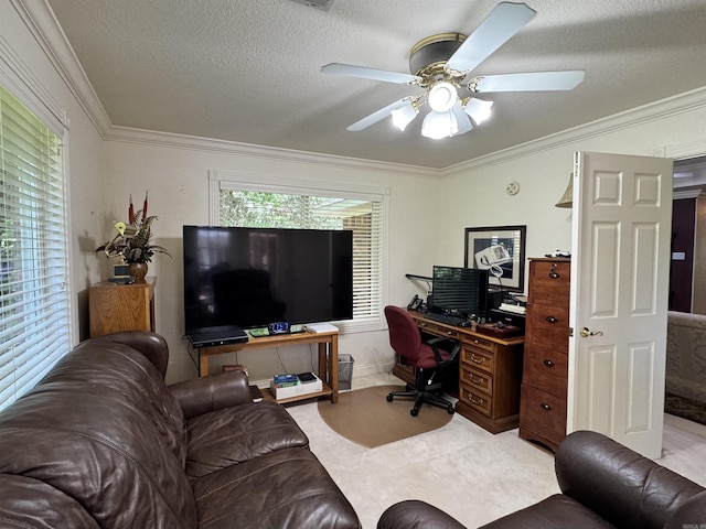 home office with crown molding, ceiling fan, and a textured ceiling
