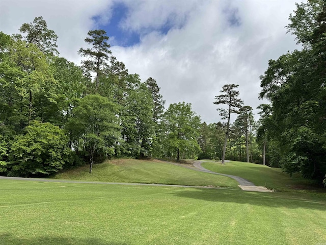 surrounding community with a yard
