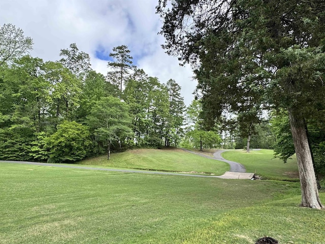 view of property's community featuring a lawn