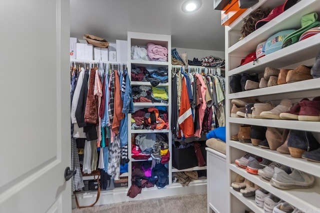 view of walk in closet