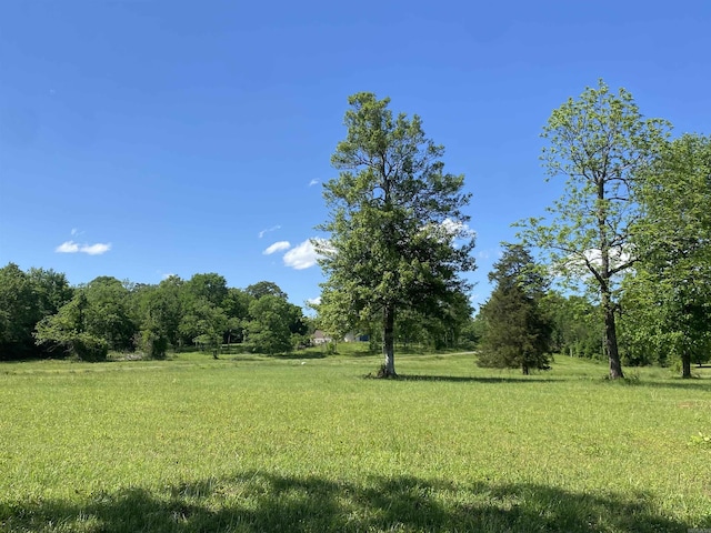 92 Revas Way, Story, AR 71970 - view of yard