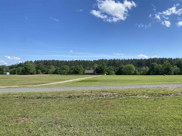 92 Revas Way, Story, AR 71970 - view of yard with a view of trees