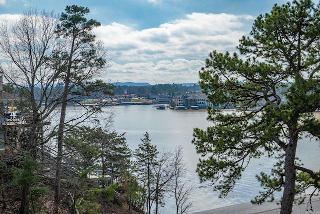 203 Stearns Pt Unit B6, Lake Hamilton, AR 71913 - property view of water