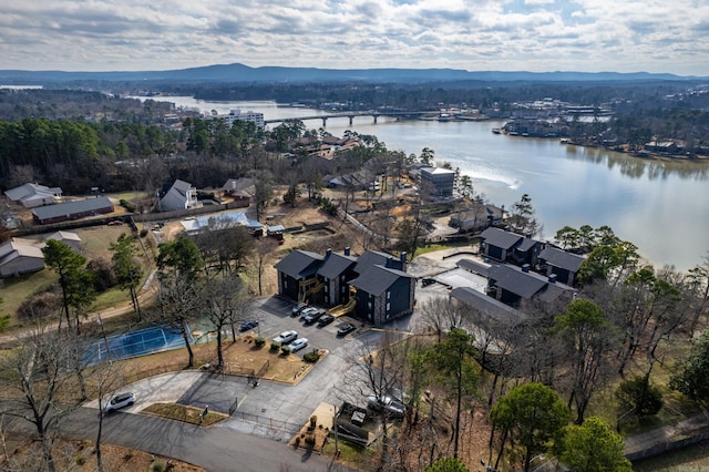203 Stearns Pt Unit B6, Lake Hamilton, AR 71913 - drone / aerial view with a water view