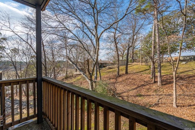 203 Stearns Pt Unit D1, Lake Hamilton, AR 71913 - exterior space