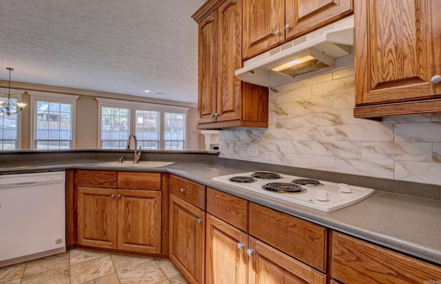 kitchen featuring a sink, under cabinet range hood, brown cabinets, and white appliances